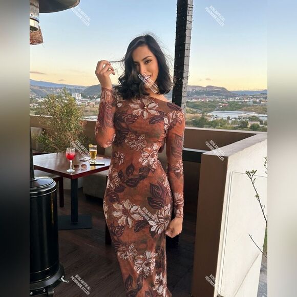 NWT ZARA PRINTED TULLEβDRESS Brown Winter Floral - Picture 3 of 12